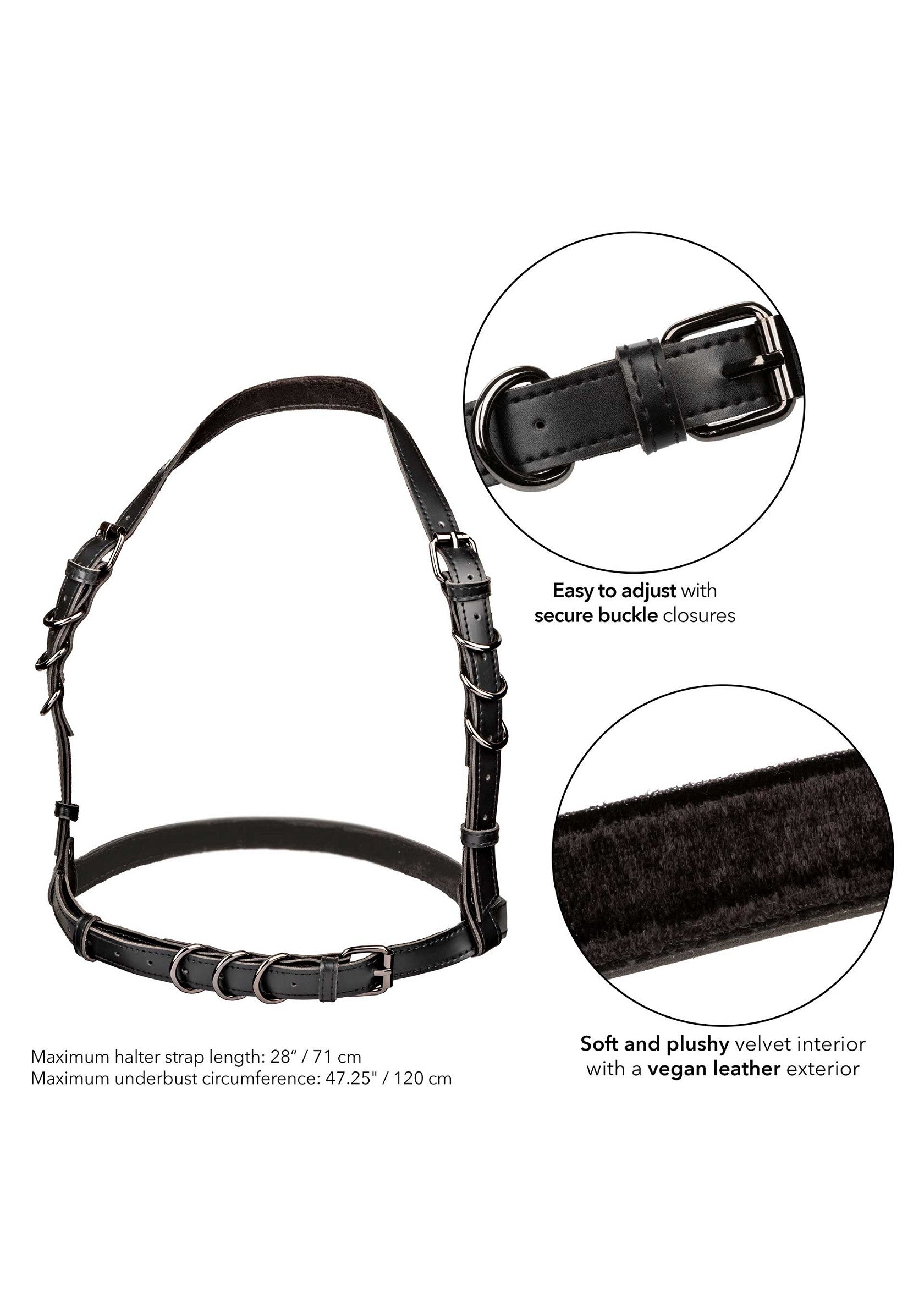 16703 calexotics euphoria halter buckle harness plus