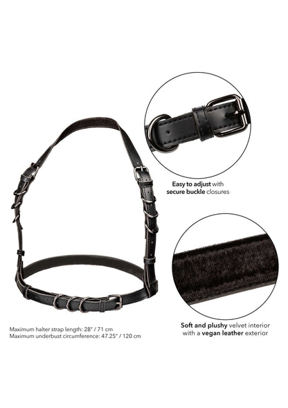 16703 calexotics euphoria halter buckle harness plus