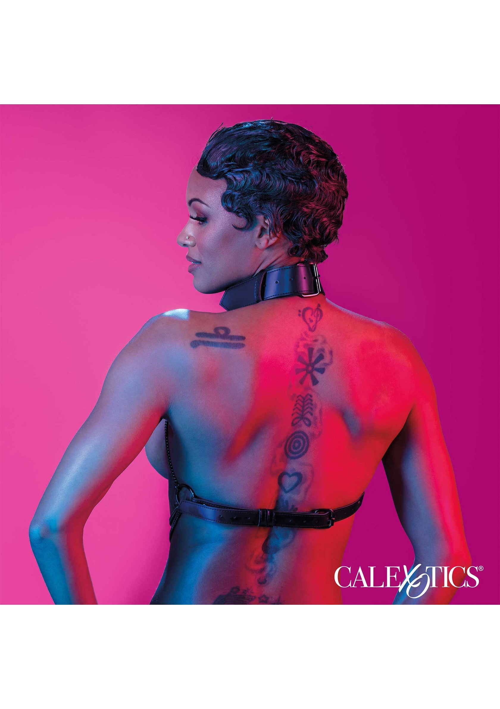 16704 calexotics euphoria chain collar harness