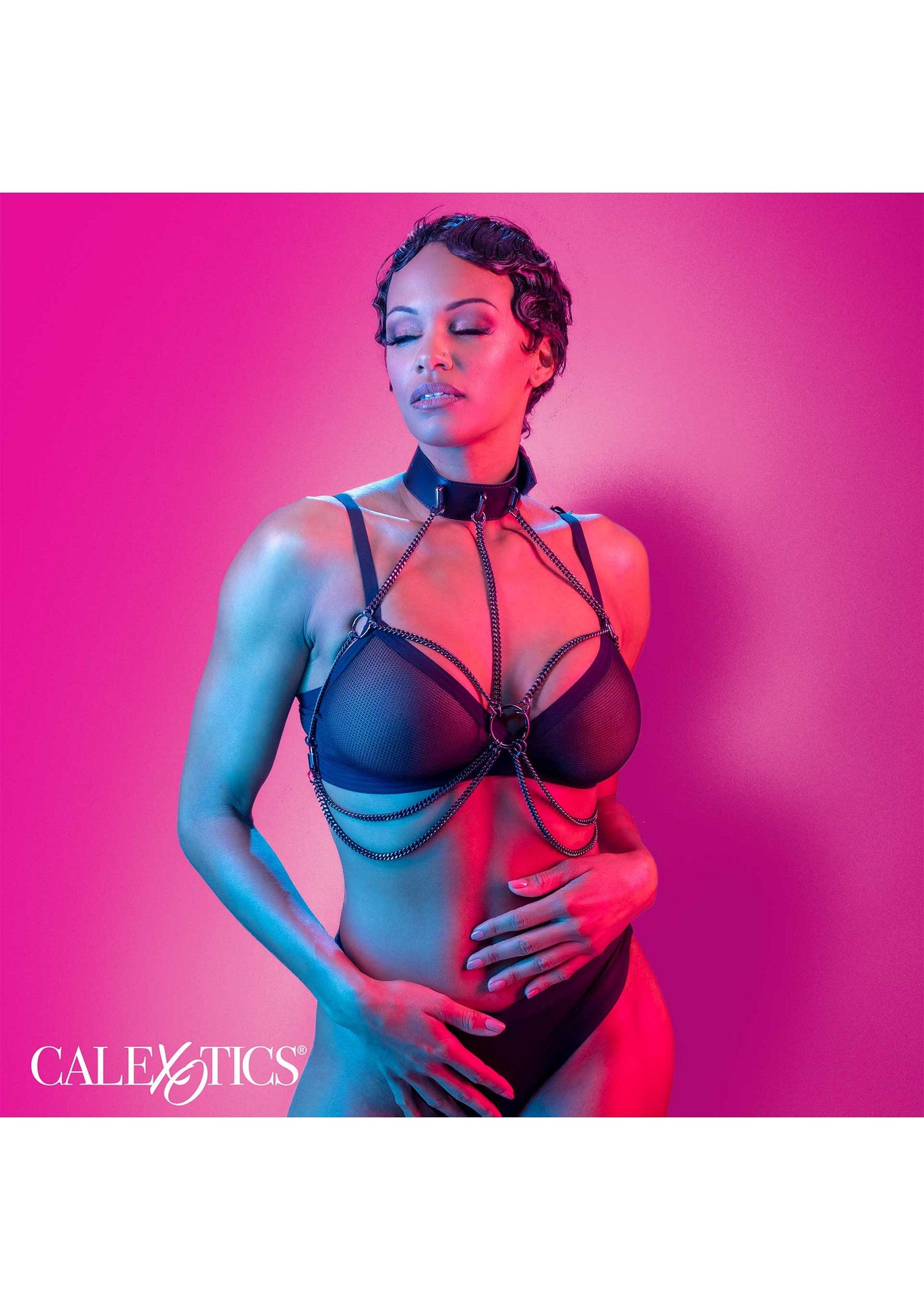 16704 calexotics euphoria chain collar harness