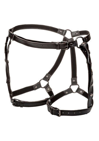 16707 calexotics euphoria riding thigh harness plus