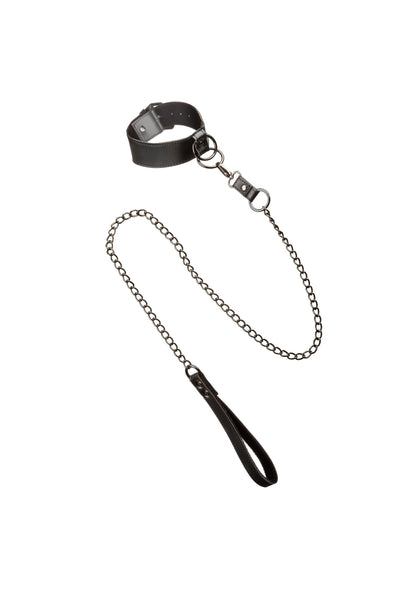 16713 calexotics euphoria collar with chain leash