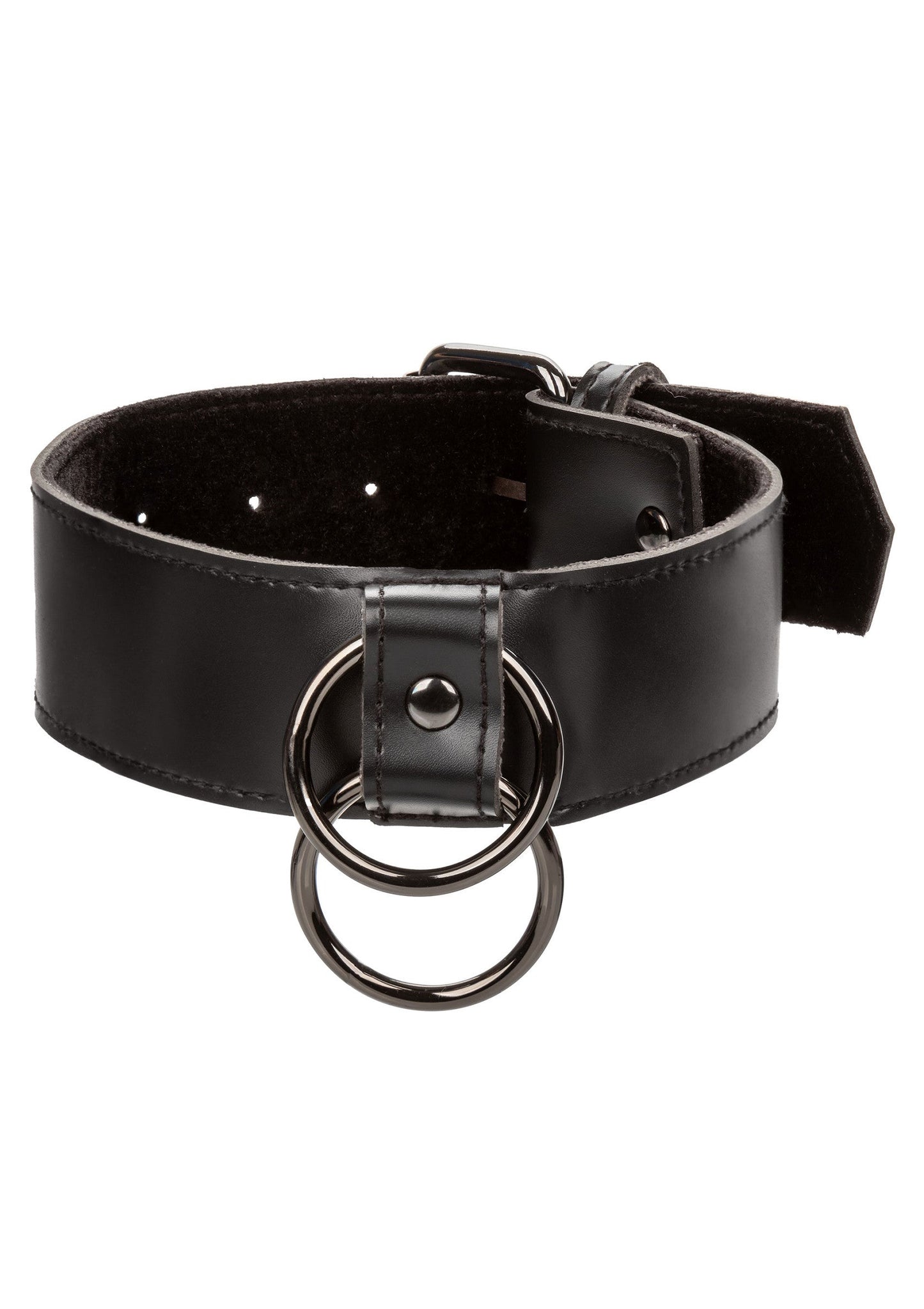 16713 calexotics euphoria collar with chain leash