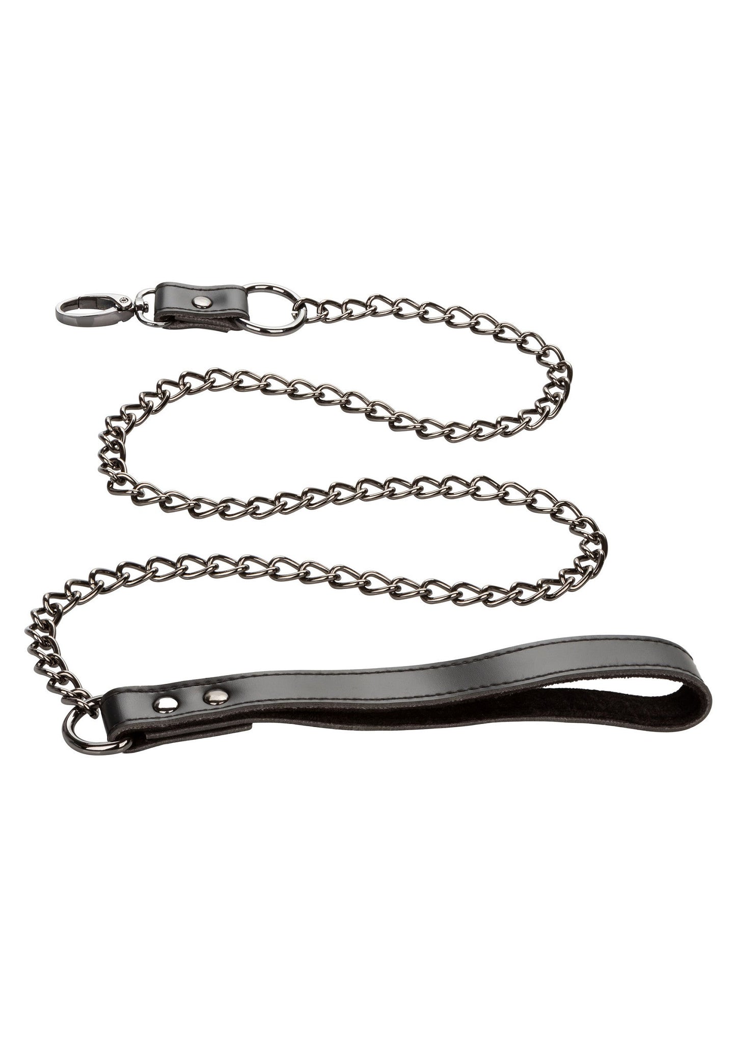 16713 calexotics euphoria collar with chain leash