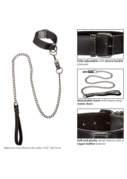 16713 calexotics euphoria collar with chain leash
