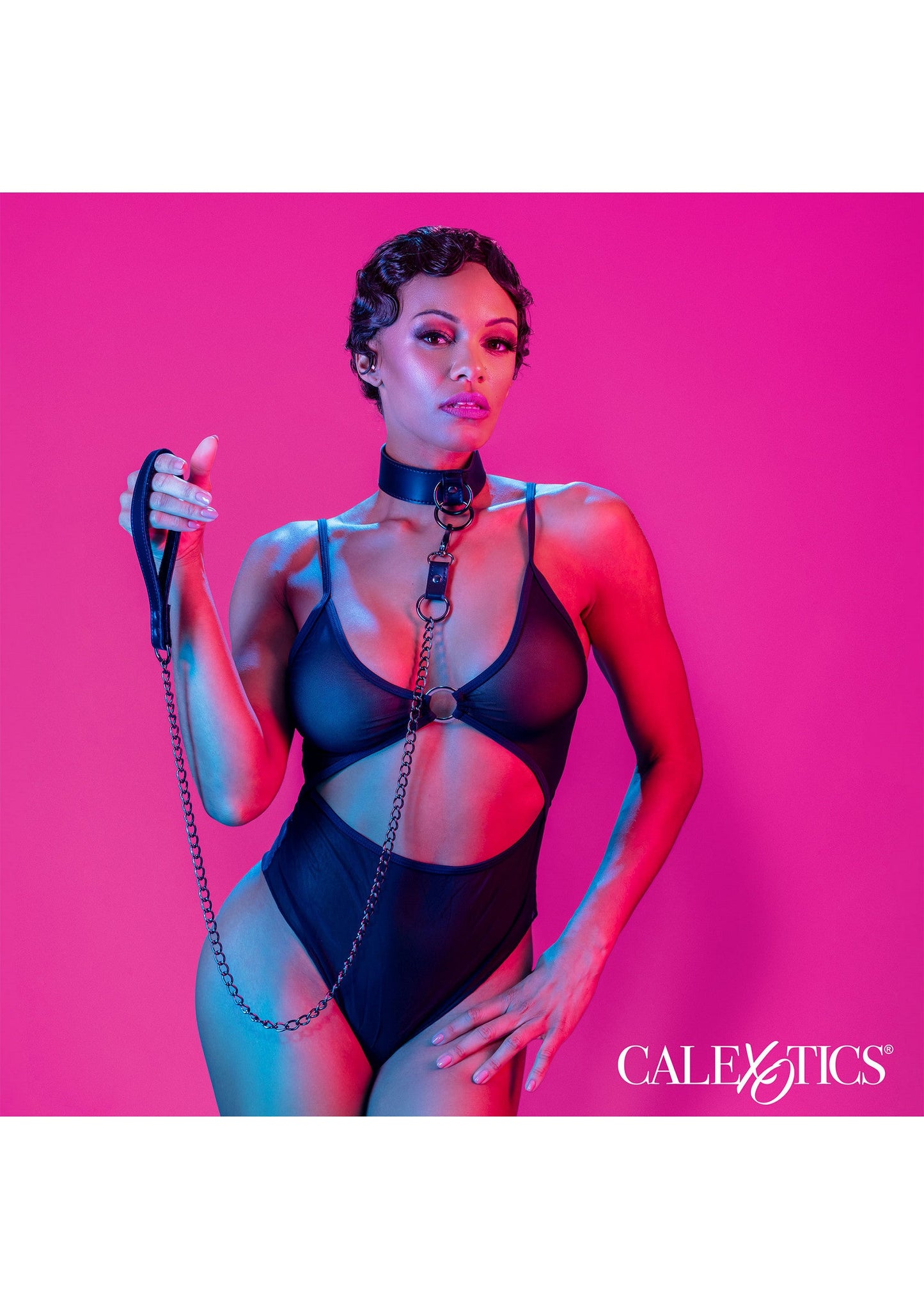 16713 calexotics euphoria collar with chain leash