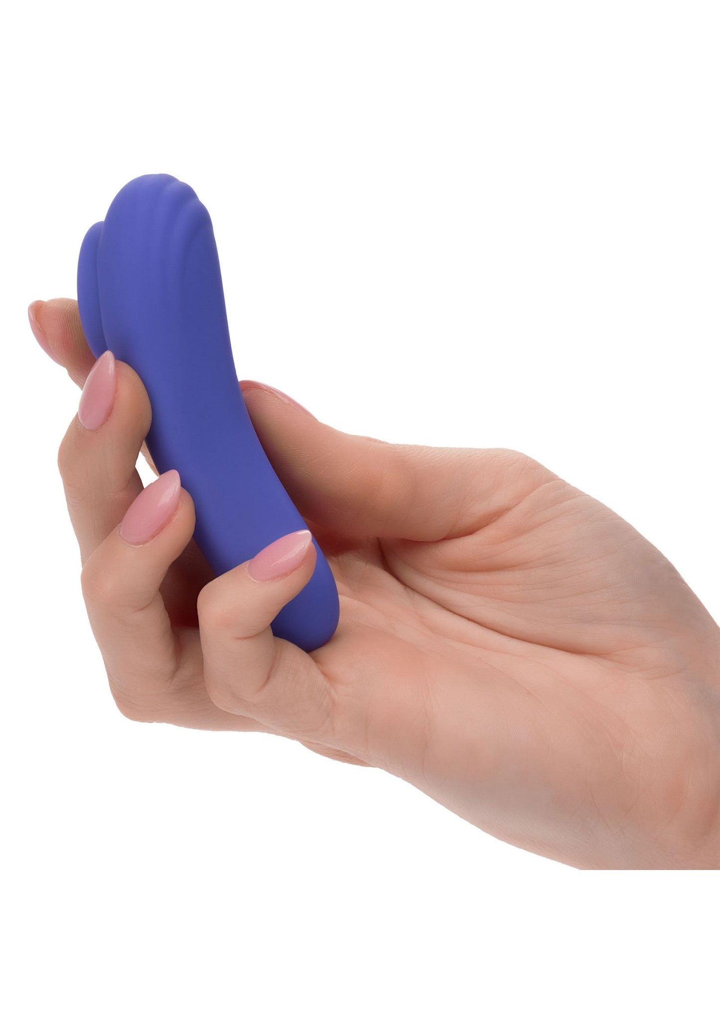 16731 calexotics calexotics connect calex connect panty teaser