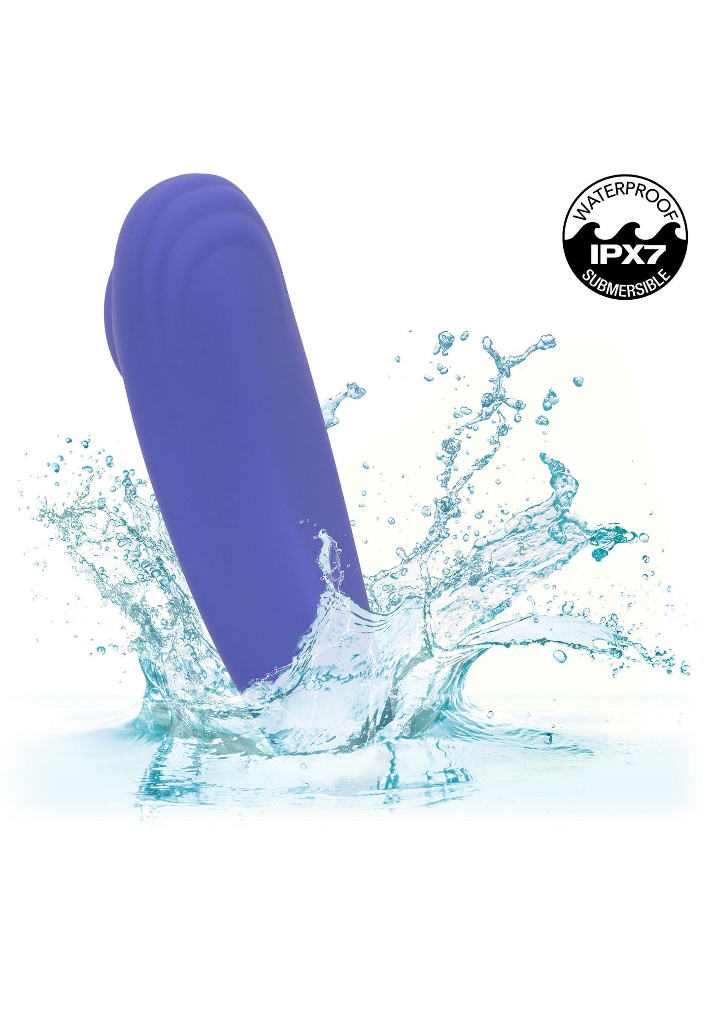 16731 calexotics calexotics connect calex connect panty teaser