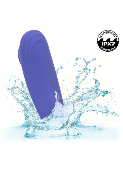 16731 calexotics calexotics connect calex connect panty teaser