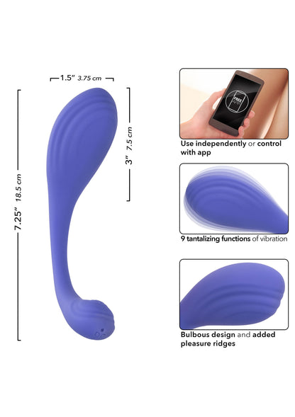 16732 calexotics calexotics connect calex connect kegel exerciser