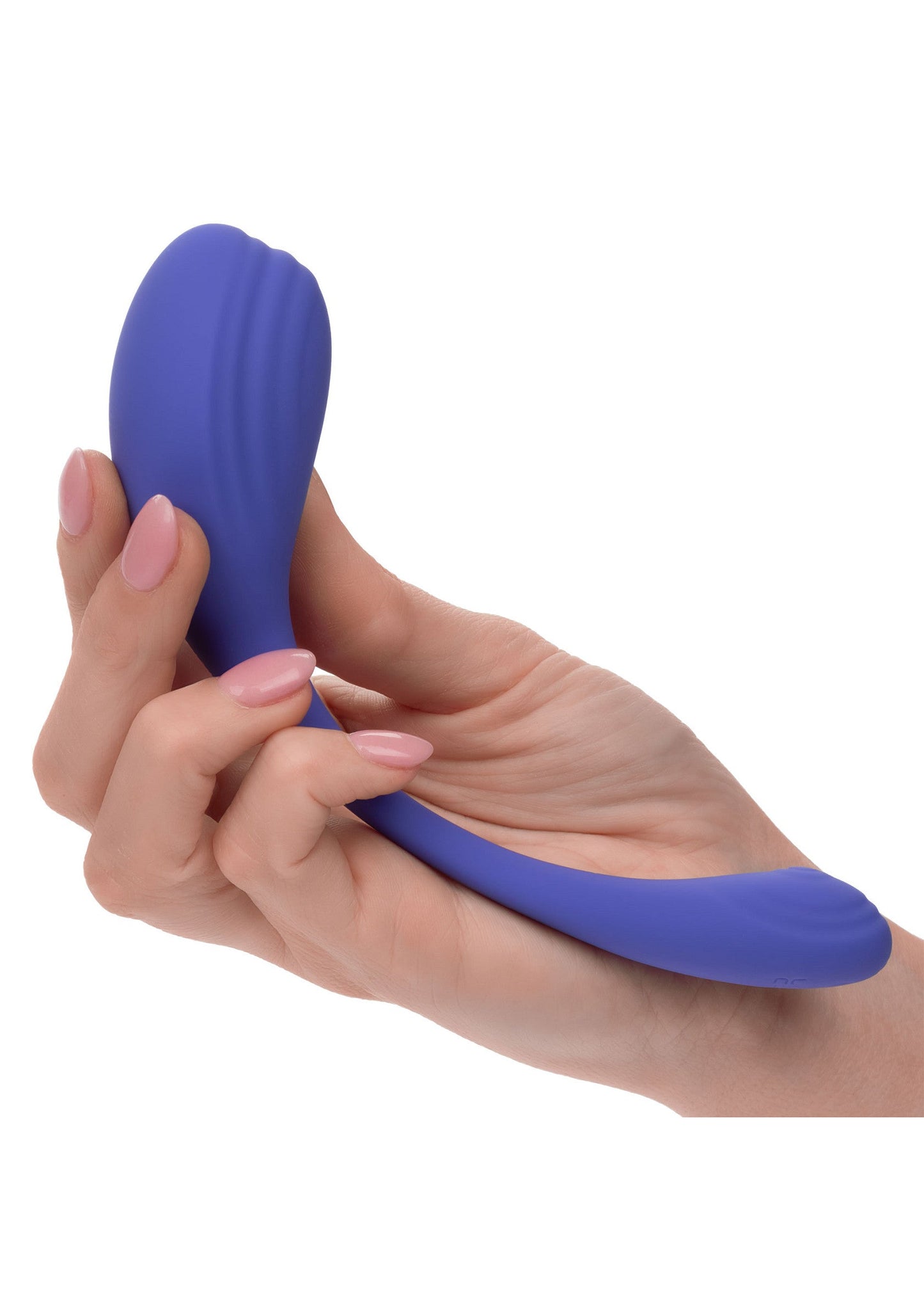 16732 calexotics calexotics connect calex connect kegel exerciser