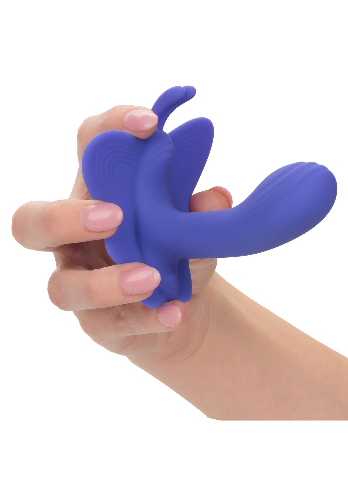 16733 calexotics calexotics connect calex connect venus butterfly