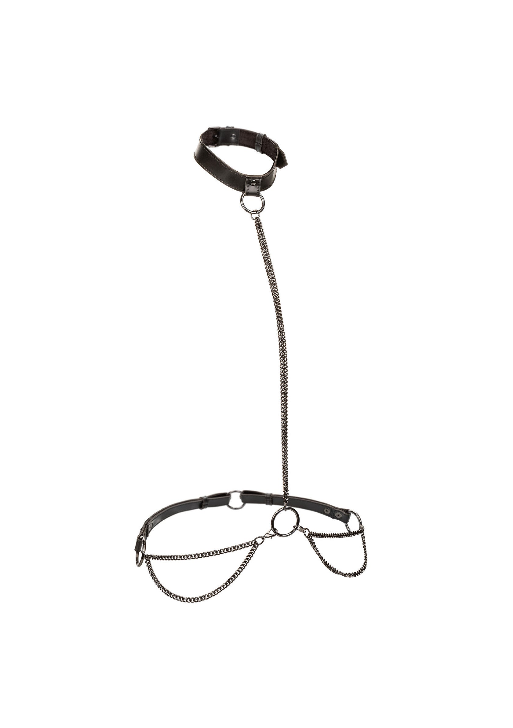 16771 calexotics euphoria chain halter collar