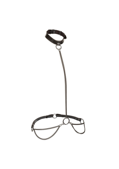 16771 calexotics euphoria chain halter collar
