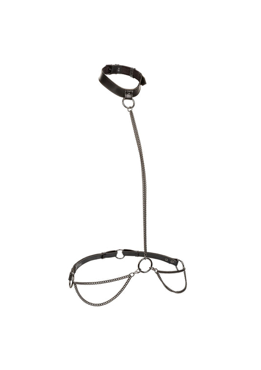 16771 calexotics euphoria chain halter collar