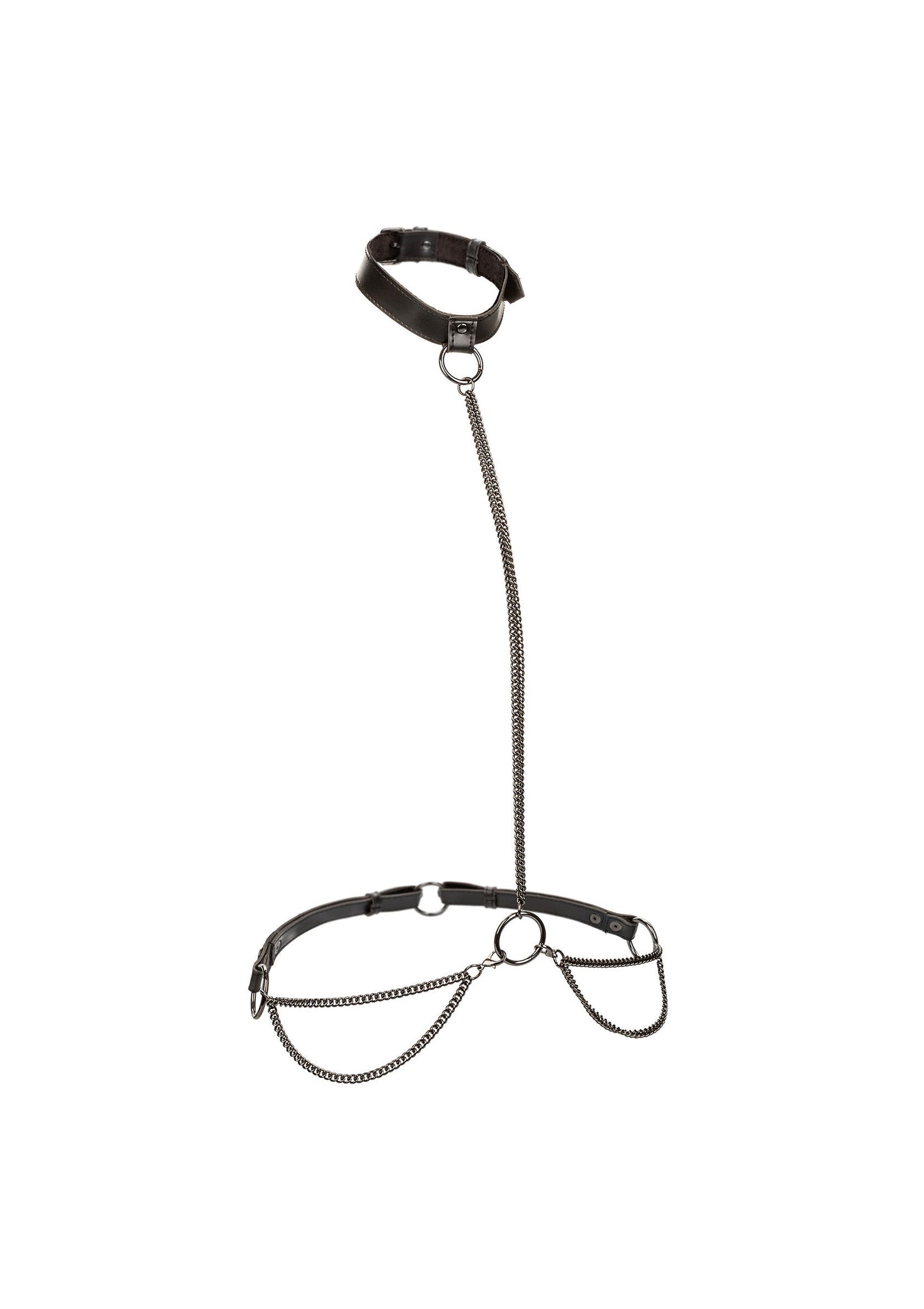 16772 calexotics euphoria chain halter collar plus