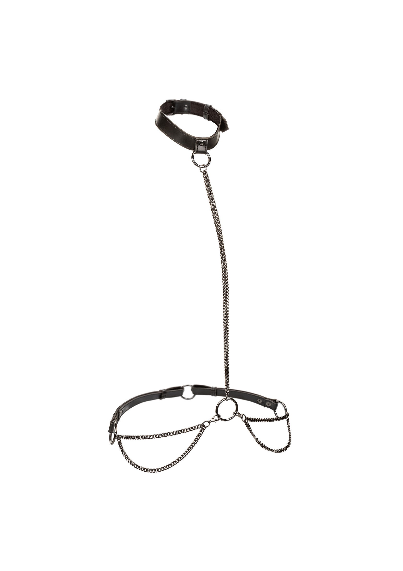 16772 calexotics euphoria chain halter collar plus