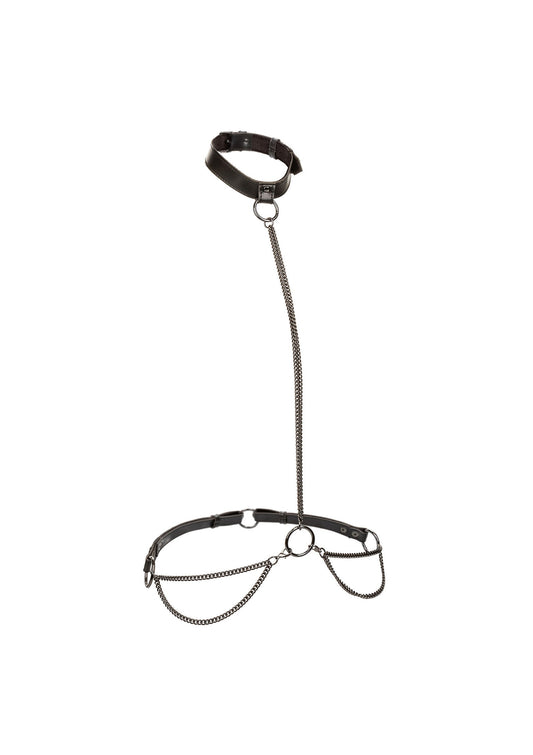 16772 calexotics euphoria chain halter collar plus