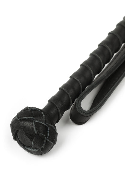 The Obedience Cane