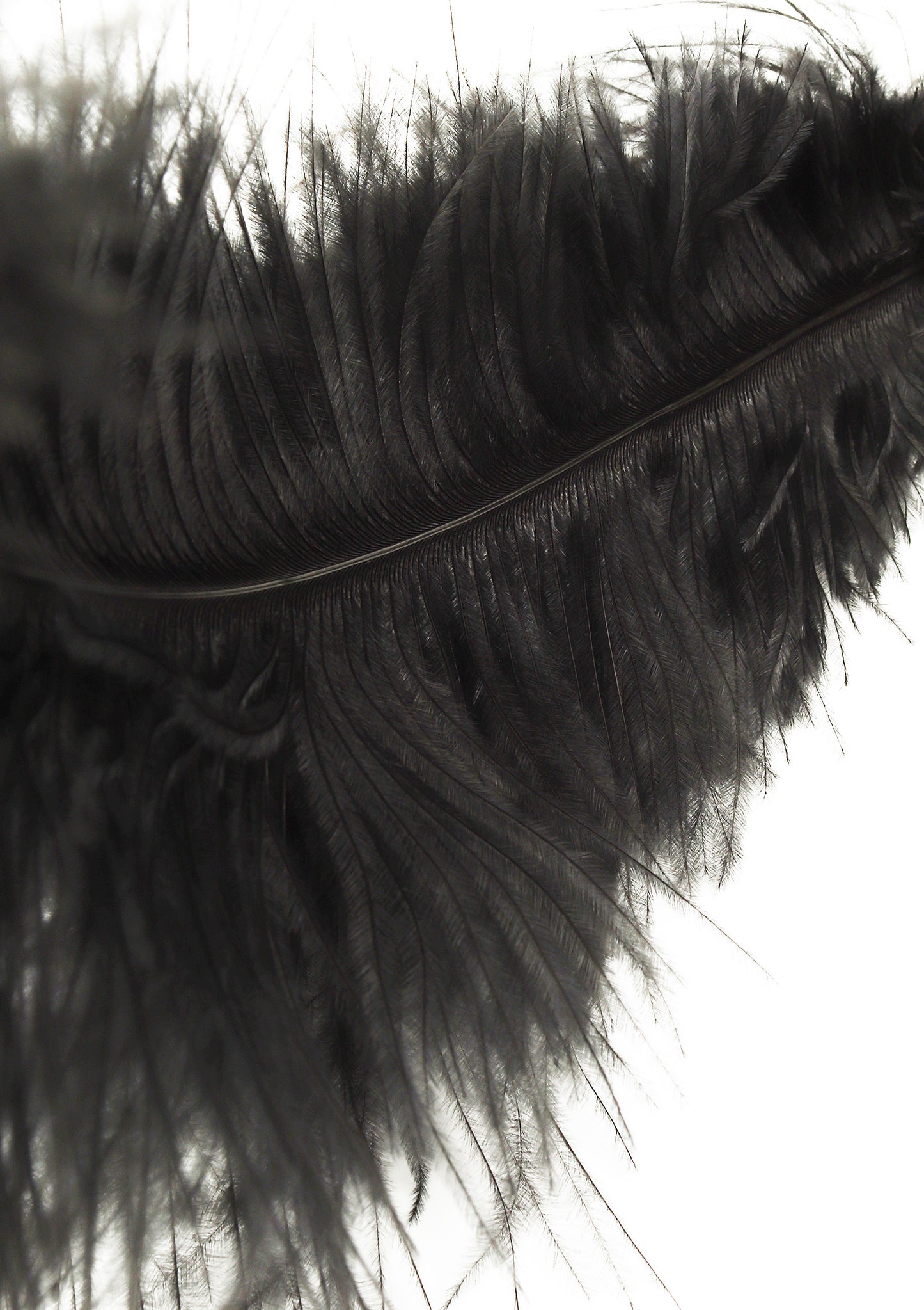 Double Feather Tickler