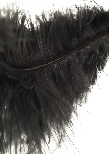 Double Feather Tickler