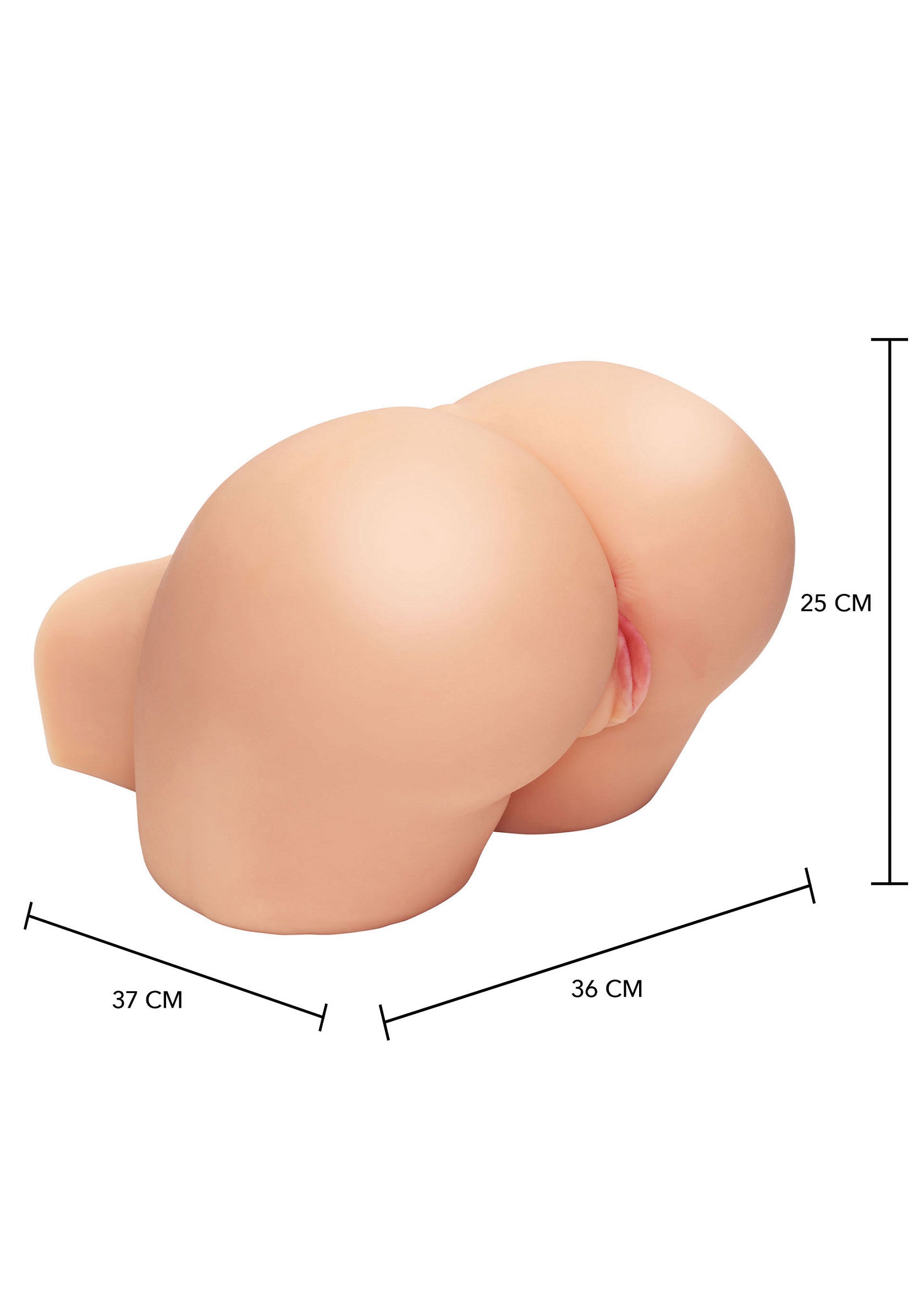 16925 hidden desire bangers fat ass bimbo 85 kg