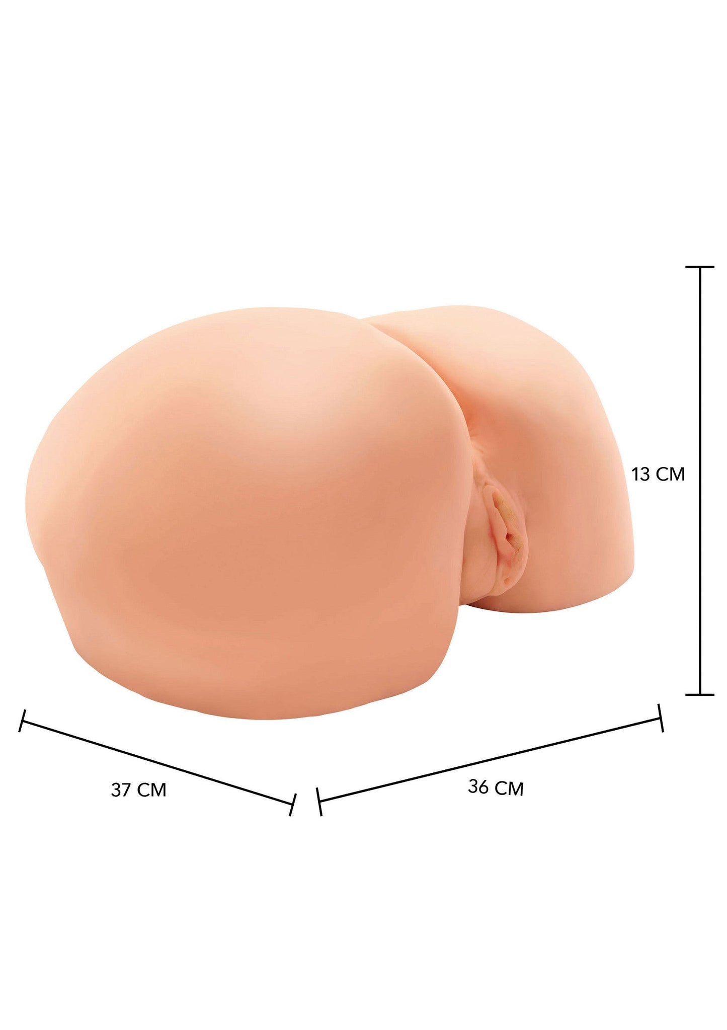 17040 hidden desire bangers big bubble butt bitch vibrating