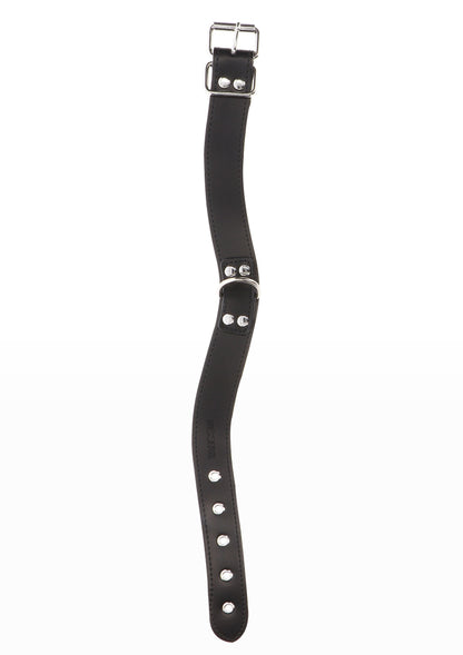 17102 taboom luxury bondage essentials elegant d ring collar