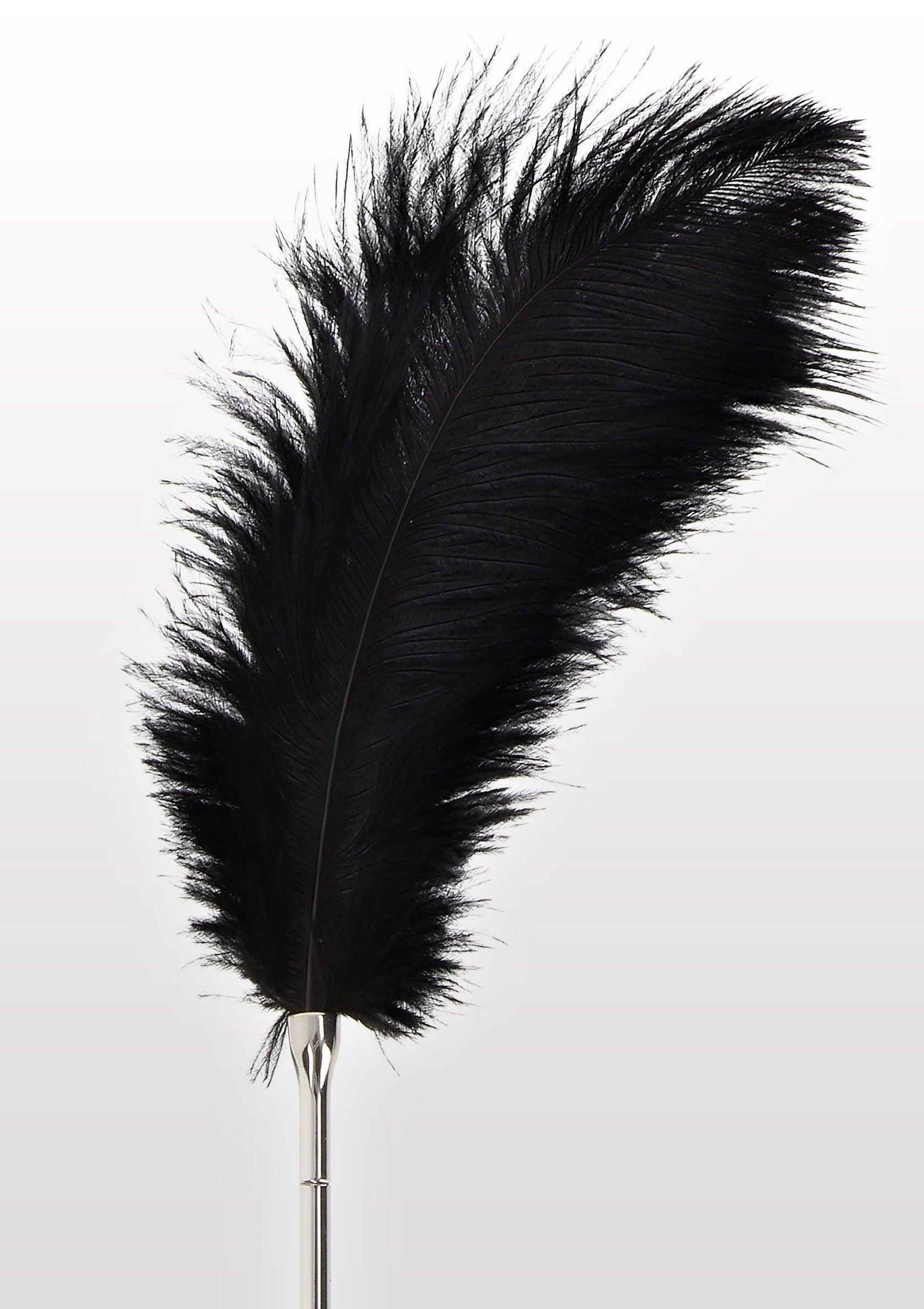 17126 taboom luxury bondage essentials feather tickler