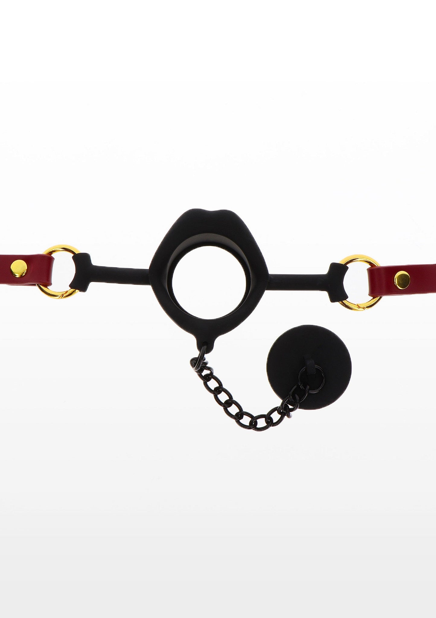 17172 taboom bondage in luxury kinky gag with plug