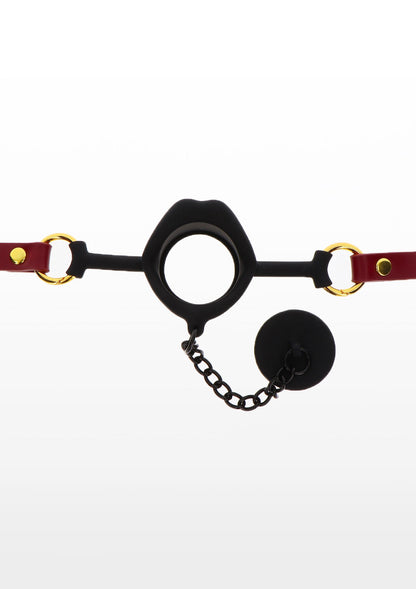 17172 taboom bondage in luxury kinky gag with plug