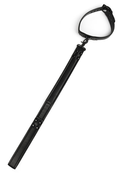 Signature Collar & Leash