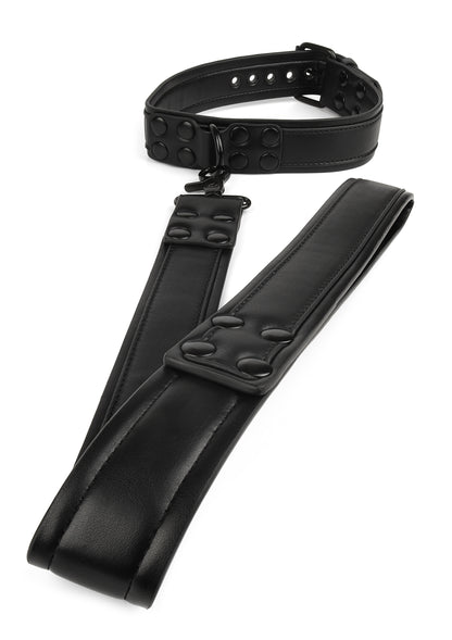 Signature Collar & Leash