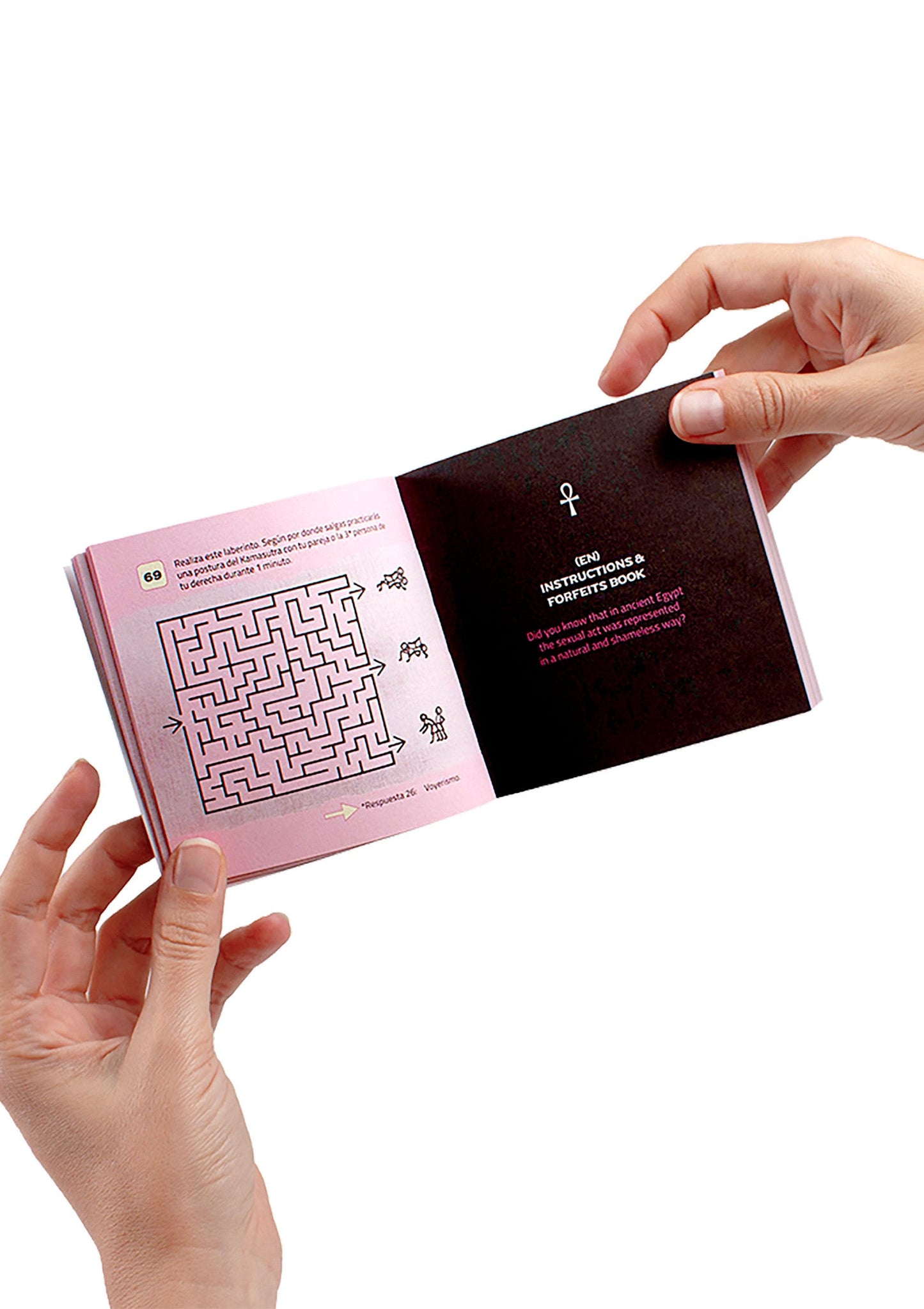 44319 secret play the secret pyramid game