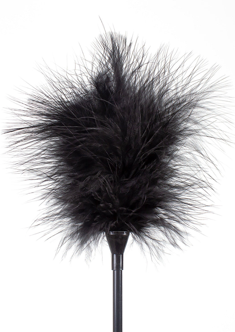 Feather Tickler & Whip 2 Feather Tickler & Whip | 2-in-1 Federkitzel & Peitsche | RaiX