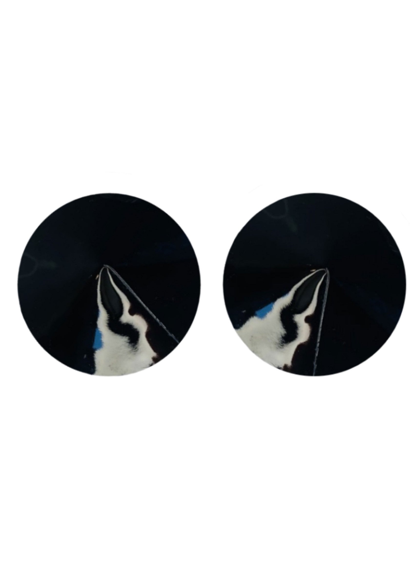 70834 kinky diva nipple covers gloss