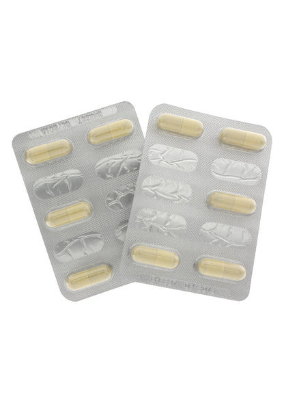 90270 hot ex libido caps her 1 x 10pcs