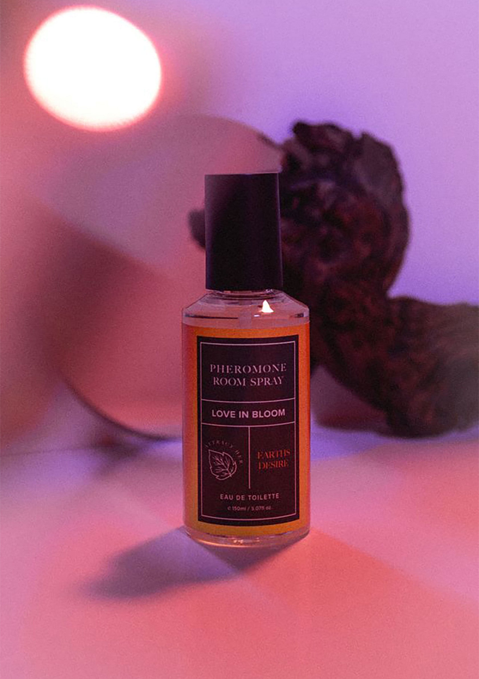 93955 eye of love bloom room phero attract her 150ml