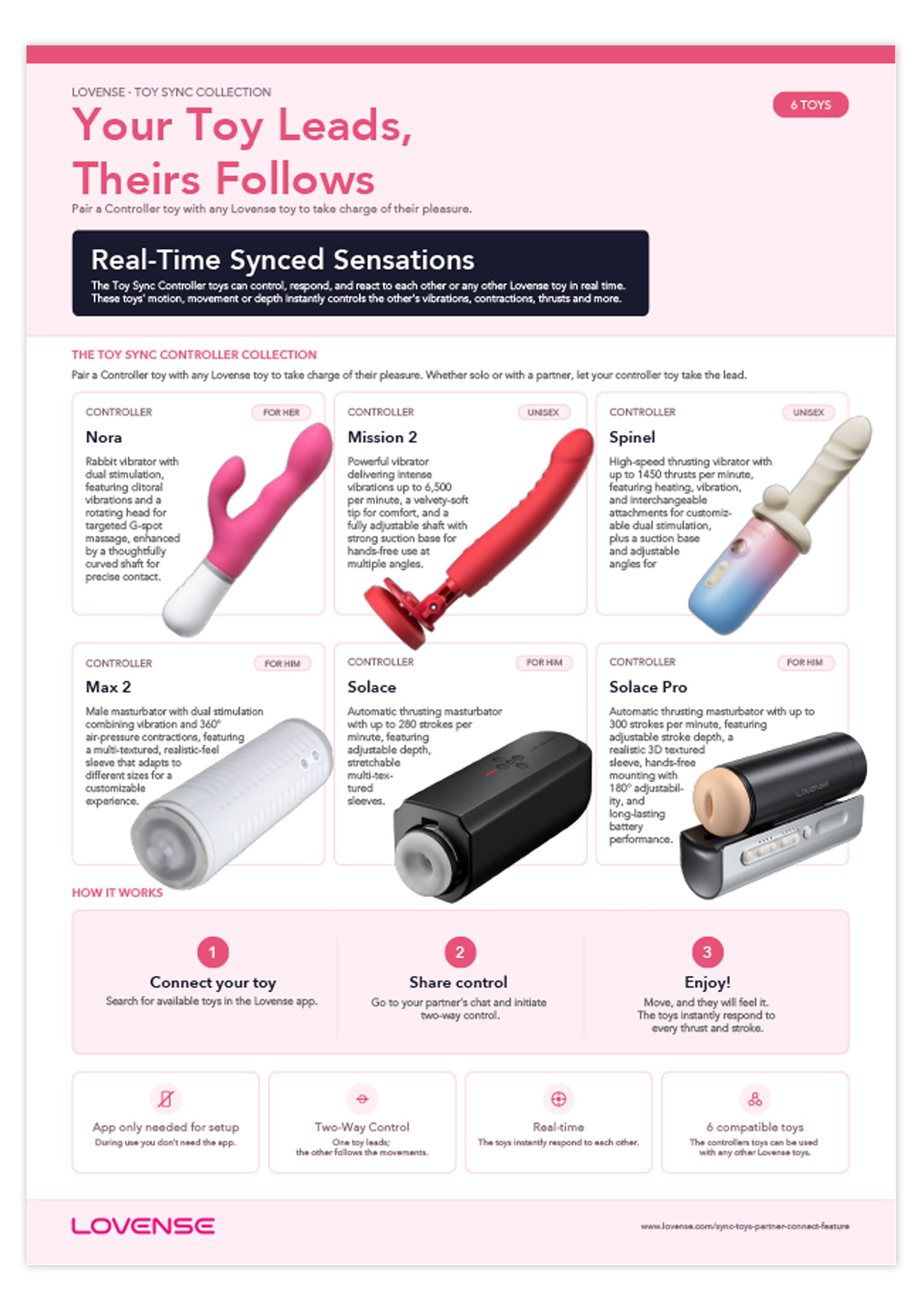 Retail Shelf Pack: Lovense Toy Sync