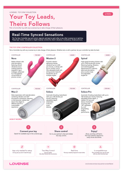 Retail Shelf Pack: Lovense Toy Sync