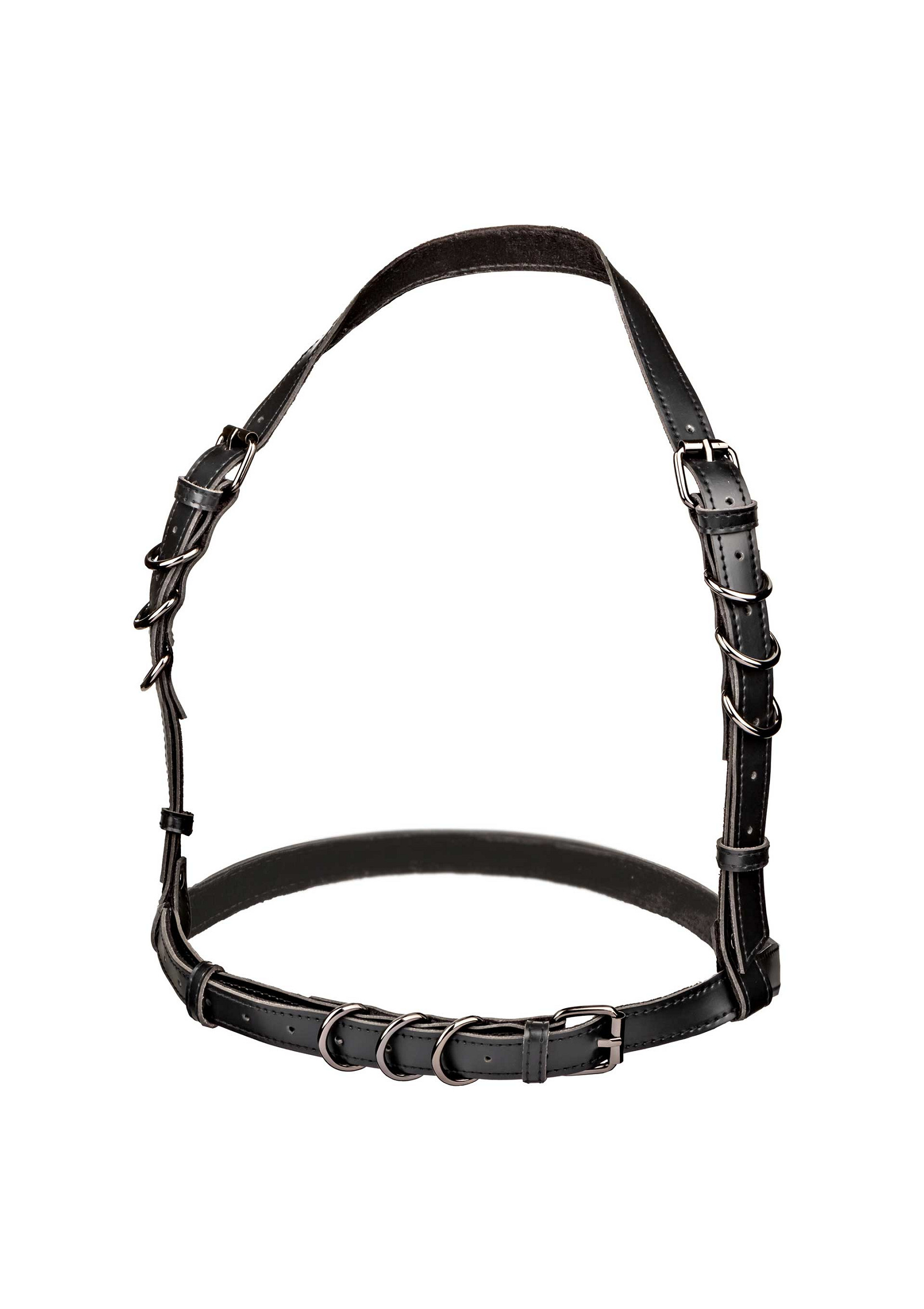 Halter Buckle Harness