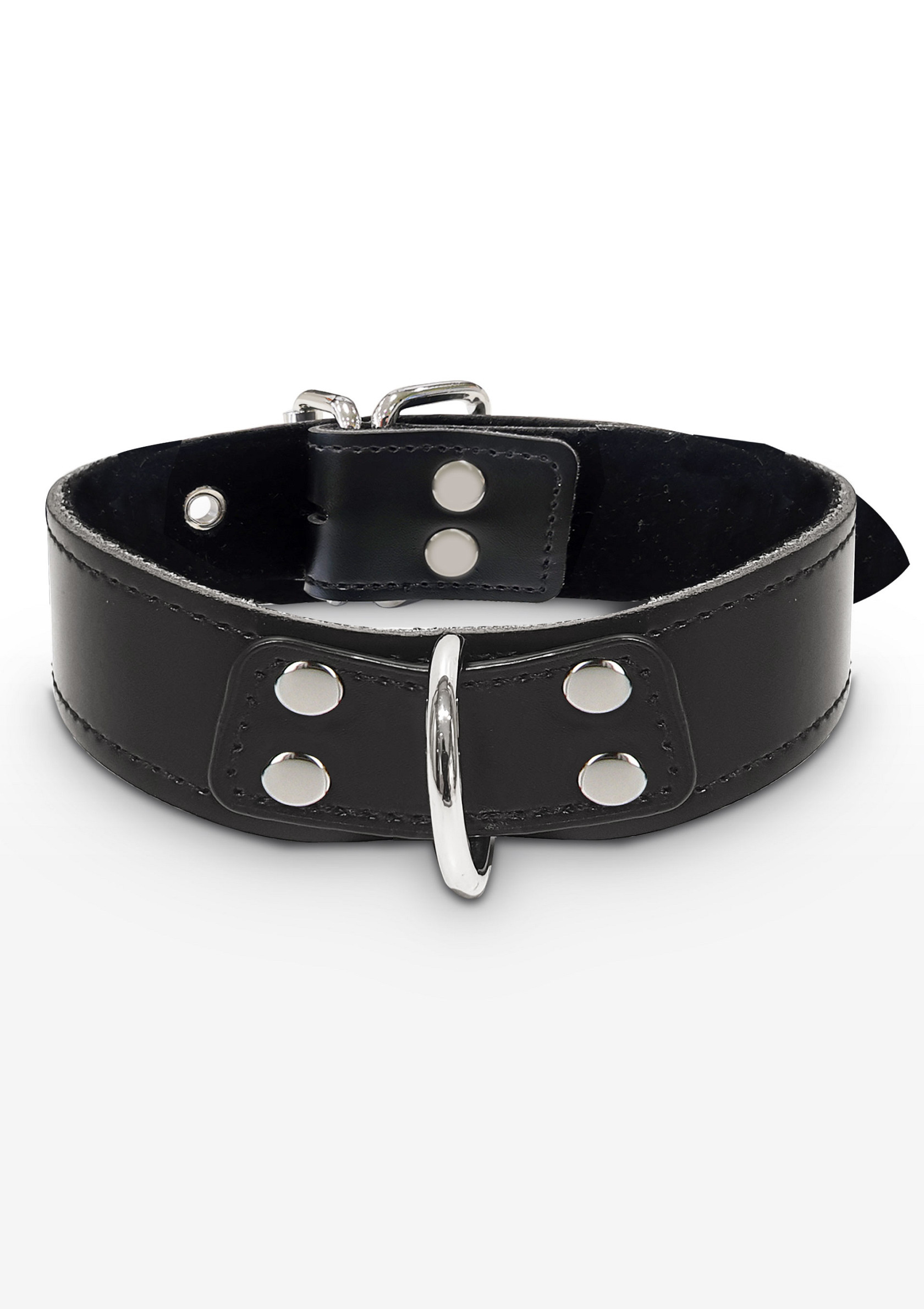 Elegant D-Ring Collar